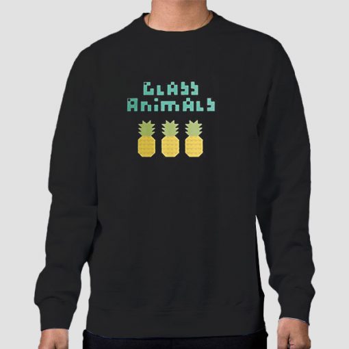 Sweatshirt Black Pineapple Glass Animals Band