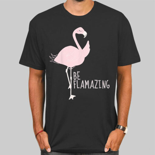 Funny Flamingo Be Flamazing Shirt